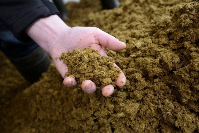 Gescheidenmest/ moestuinmest/ koemestkorrel/ tuinbemesting, Ophalen, Koemestkorrels