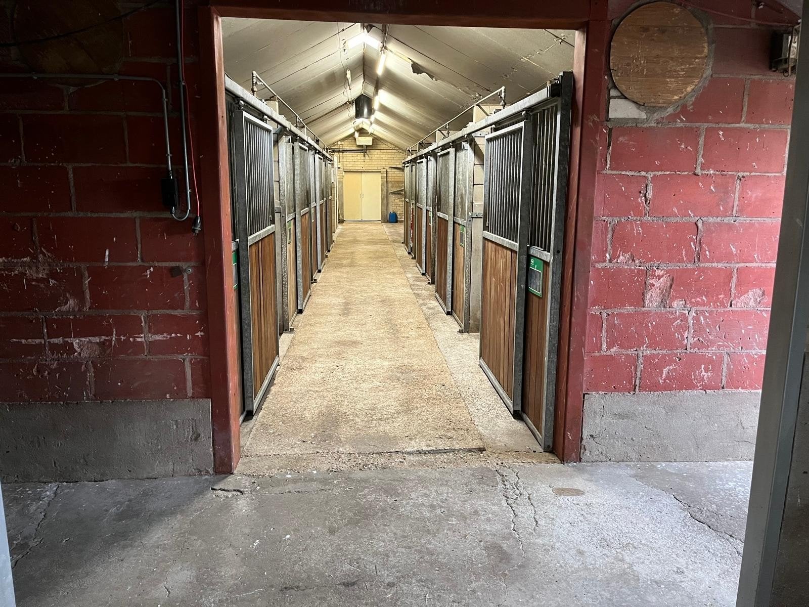 paarden stallen en weidegang te huur, Dieren en Toebehoren, Paarden en Pony's | Overige Paardenspullen, Ophalen of Verzenden