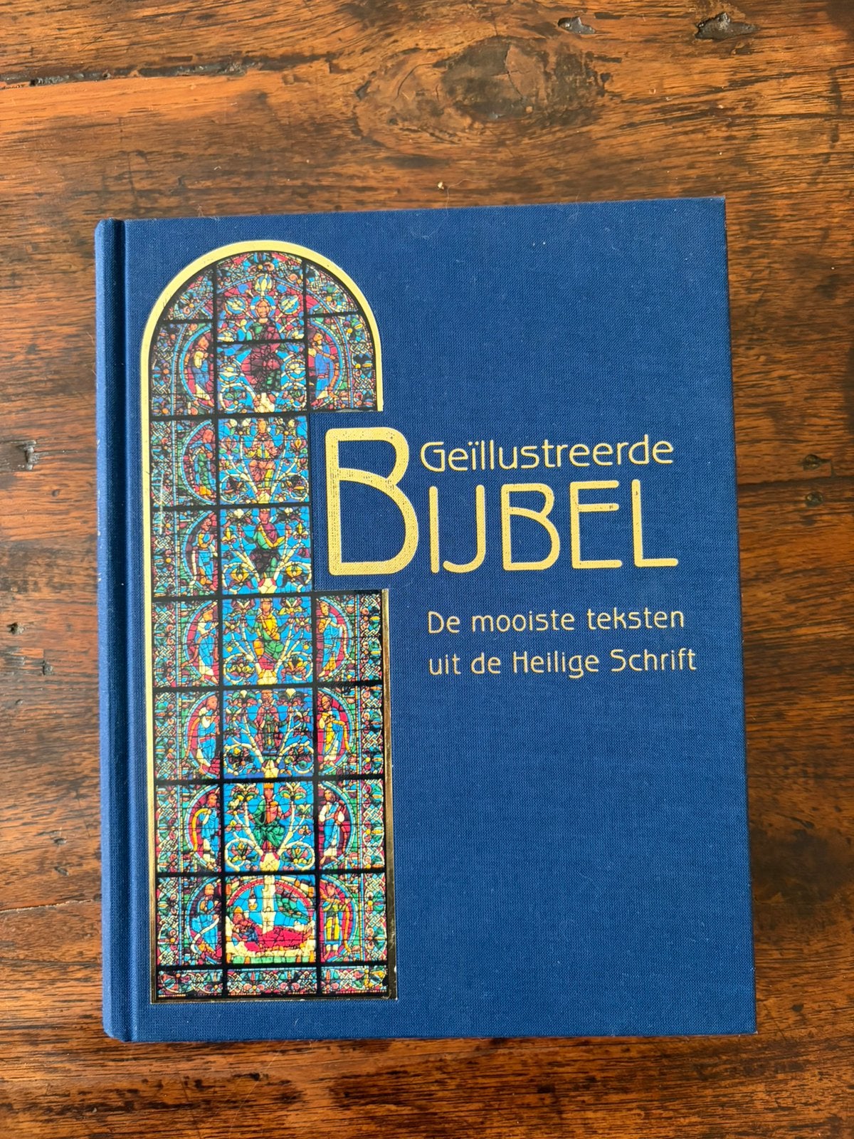 Geïllustreerde Bijbel: mooiste teksten uit Heilige Schrift,, Ophalen of Verzenden, Zo goed als nieuw