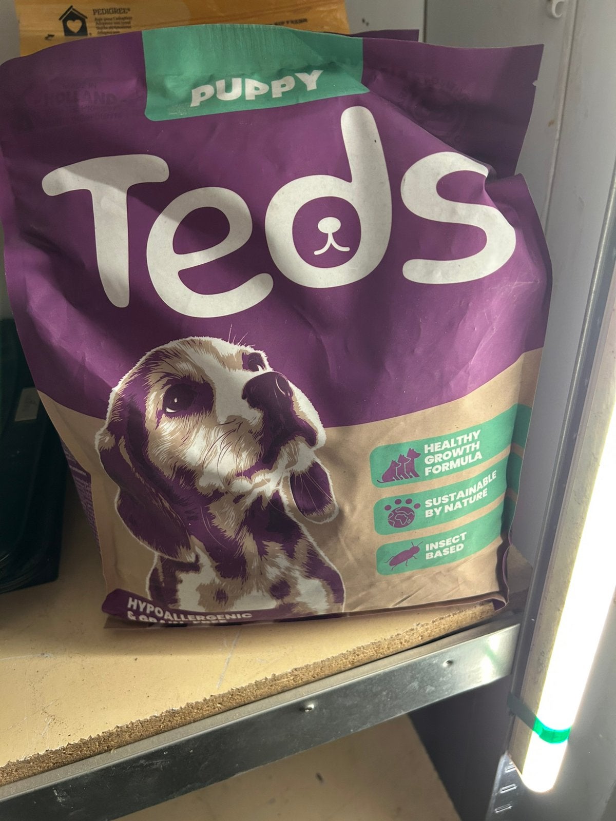 Tekoop teds puppy broken, Dieren en Toebehoren, Ophalen of Verzenden, Hond
