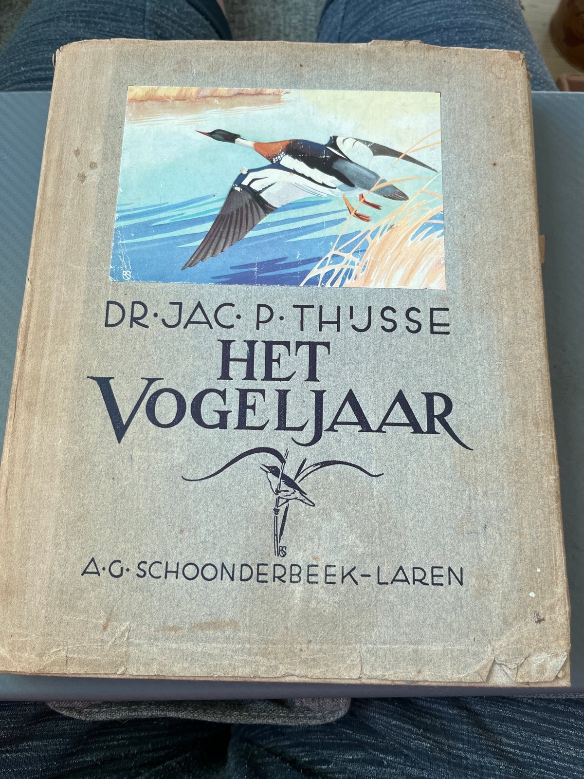 Het Vogeljaar - Dr. Jac. P. Thijsse (Vijfde Druk), Boeken, Ophalen of Verzenden, Gelezen, Vogels