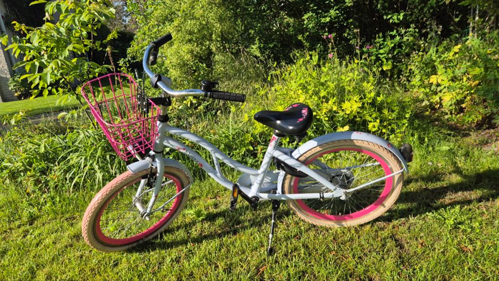 Alpina Ocean kinderfiets met mandje - 20 inch, Ophalen of Verzenden, Zo goed als nieuw, Alpina ocean, Terugtraprem