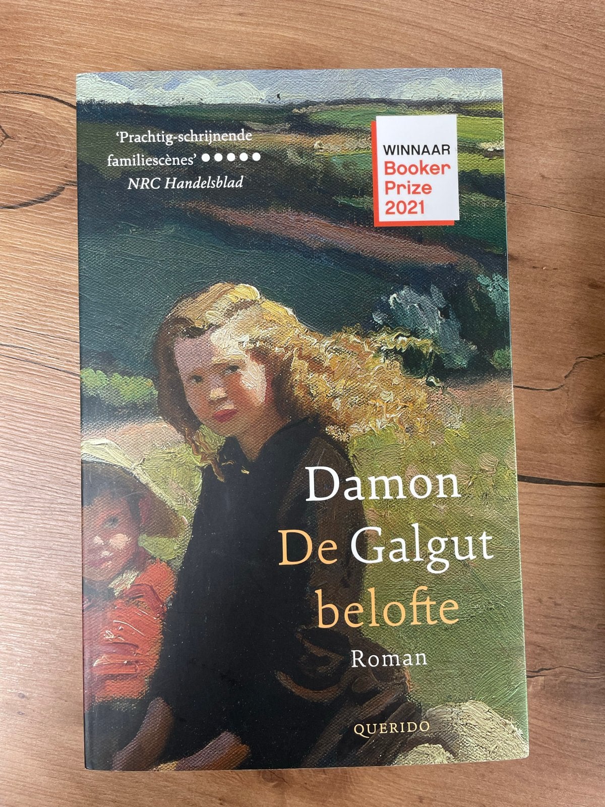 Damon Galgut - De Belofte (Booker Prize 2021 winnaar), Ophalen of Verzenden, Zo goed als nieuw, Wereld overig