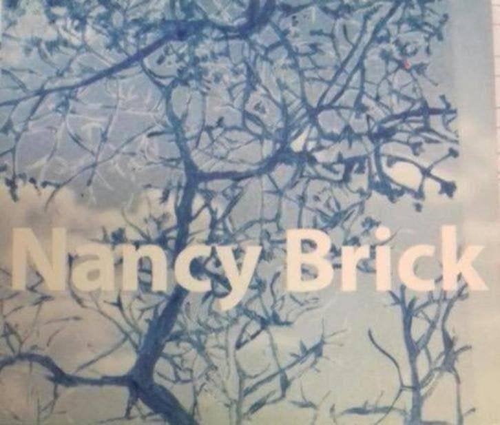 CD: Nancy Brick – Nancy Brick (ZGAN) Digipak (Nederbeat), Ophalen of Verzenden, Digipak