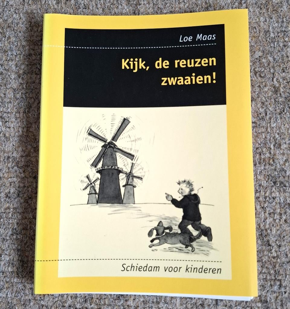 Stadsgids Schiedam, Boeken, Reisgidsen, Overige merken, Fiets- of Wandelgids, Ophalen of Verzenden, Zo goed als nieuw