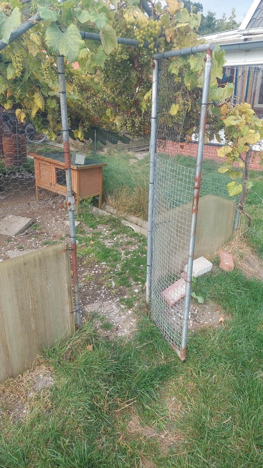 kippenren /kippen hok, Dieren en Toebehoren, Ophalen, Gebruikt, Kippenhok of Kippenren