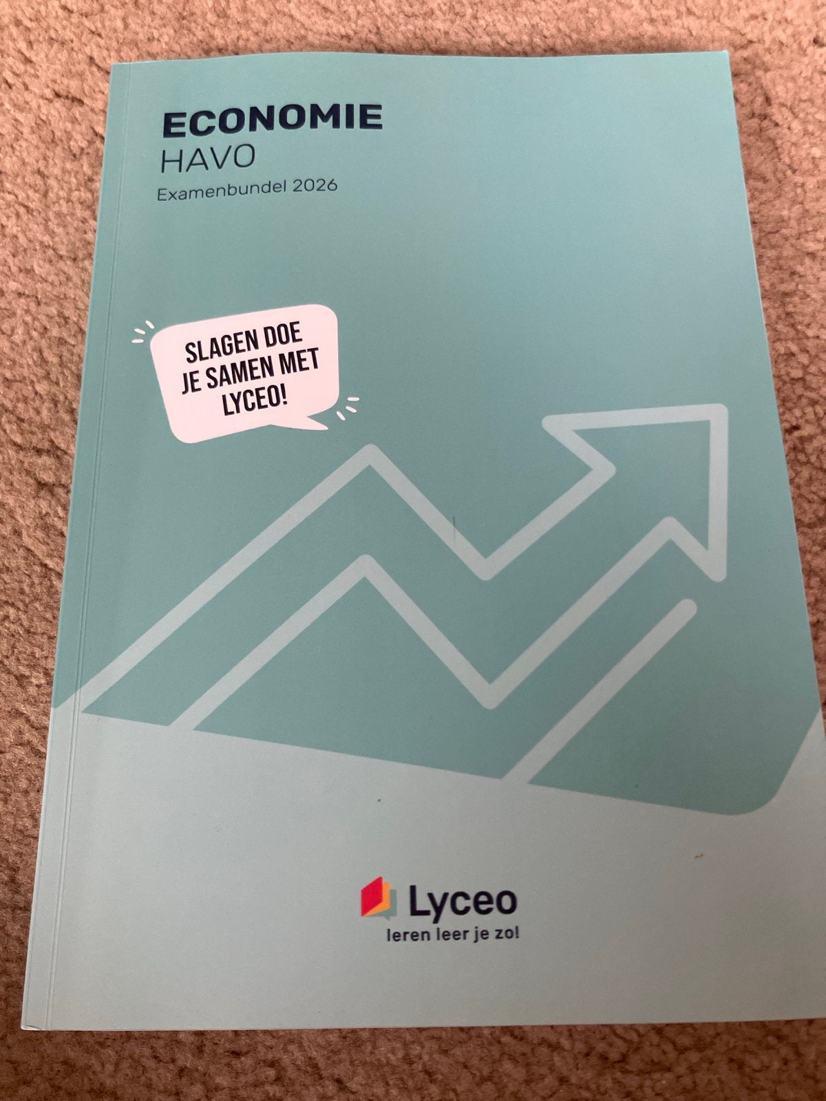 Examenbundel Economie HAVO 2026 Lyceo, Boeken, Ophalen of Verzenden, Gamma, Zo goed als nieuw, HBO