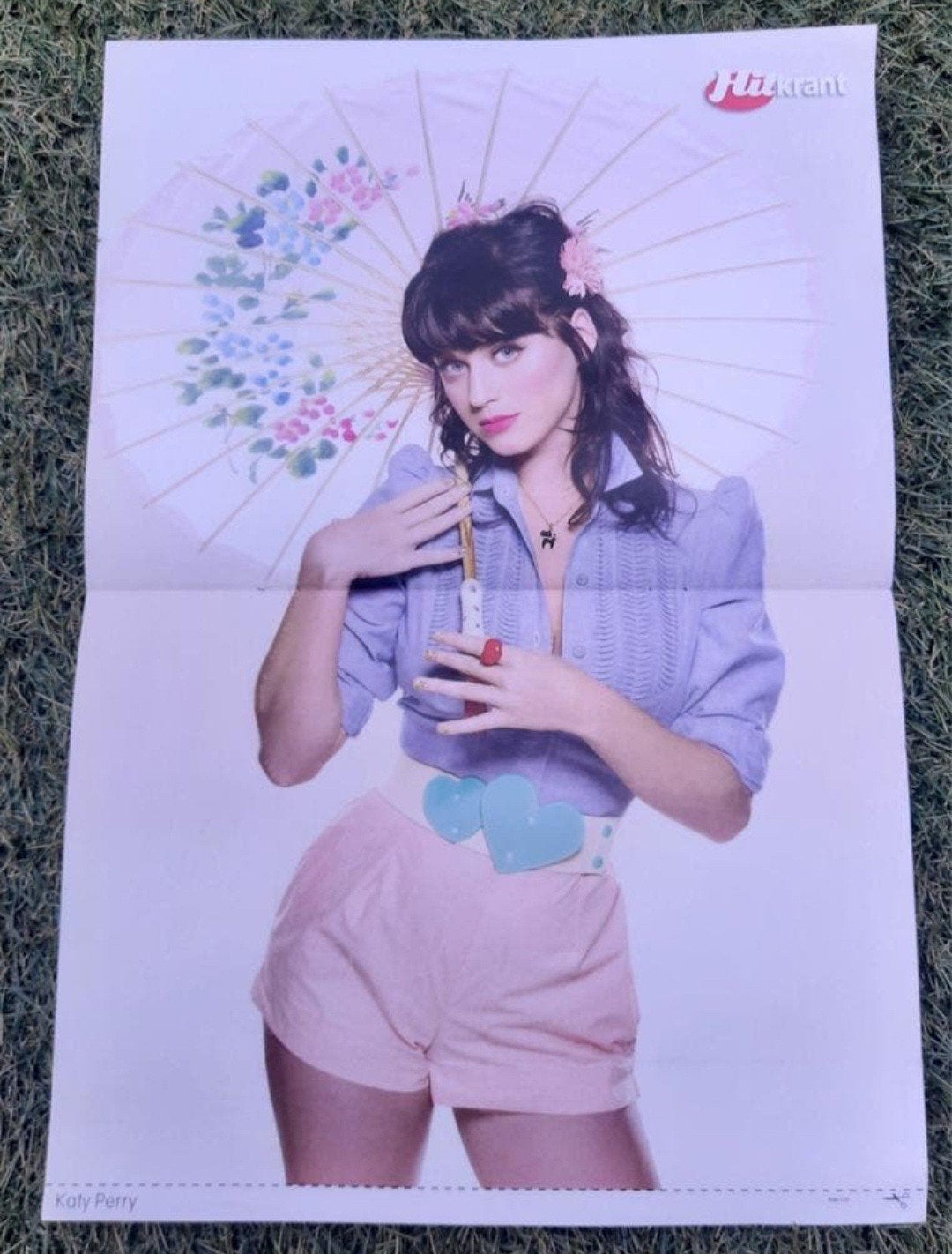 Poster 2x A4 Hitkrant 2009 Katy Perry / RED!, Ophalen of Verzenden, Gebruikt, A1 t/m A3, Muziek