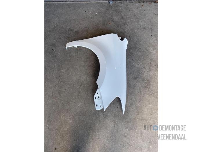 Scherm rechts-voor van een Volkswagen Polo (LB9A), -, Volkswagen, -, Nieuw