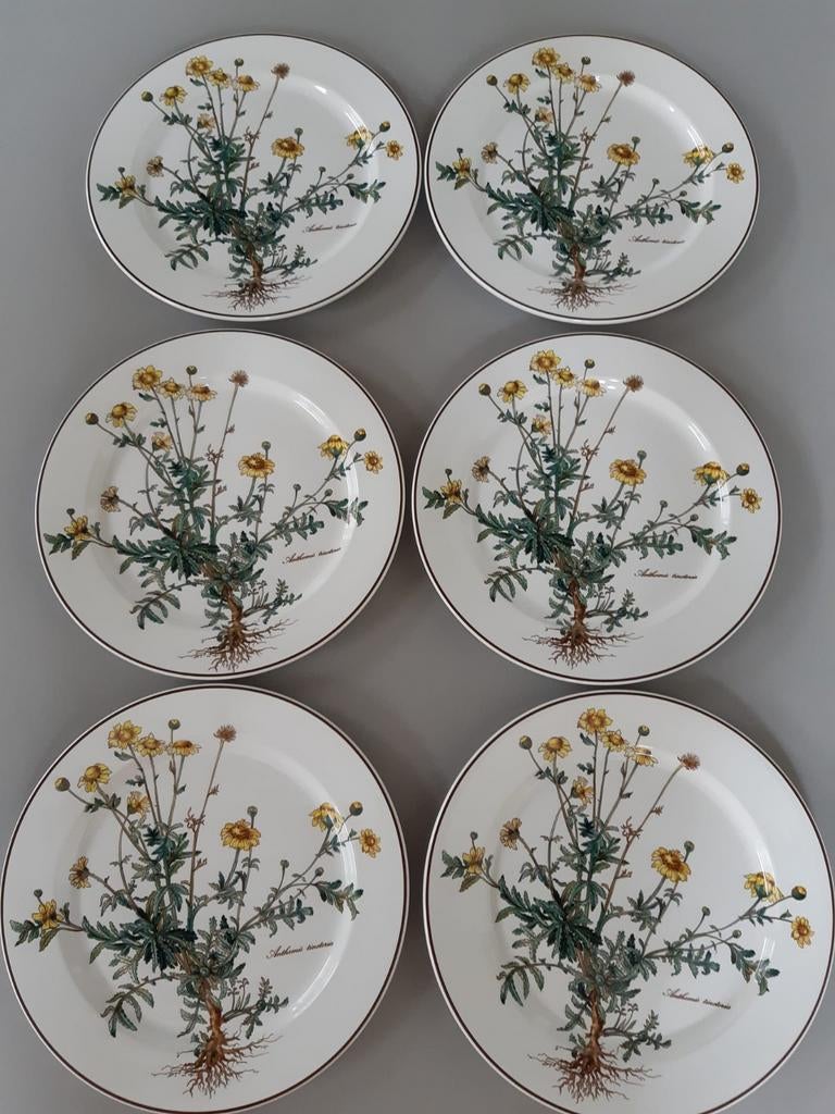Dinerborden 27 cm Villeroy en Boch Botanica, 6 beschikbaar, Ophalen of Verzenden, Zo goed als nieuw, Bord(en), Overige stijlen
