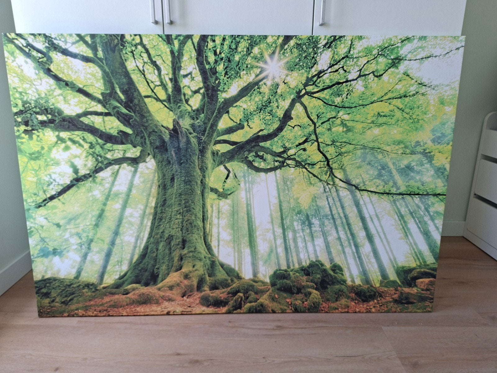 Canvas schilderij: Mysterieuze boom met mos in bos, Antiek en Kunst, Ophalen, Textiel, Op houten frame, Landschap