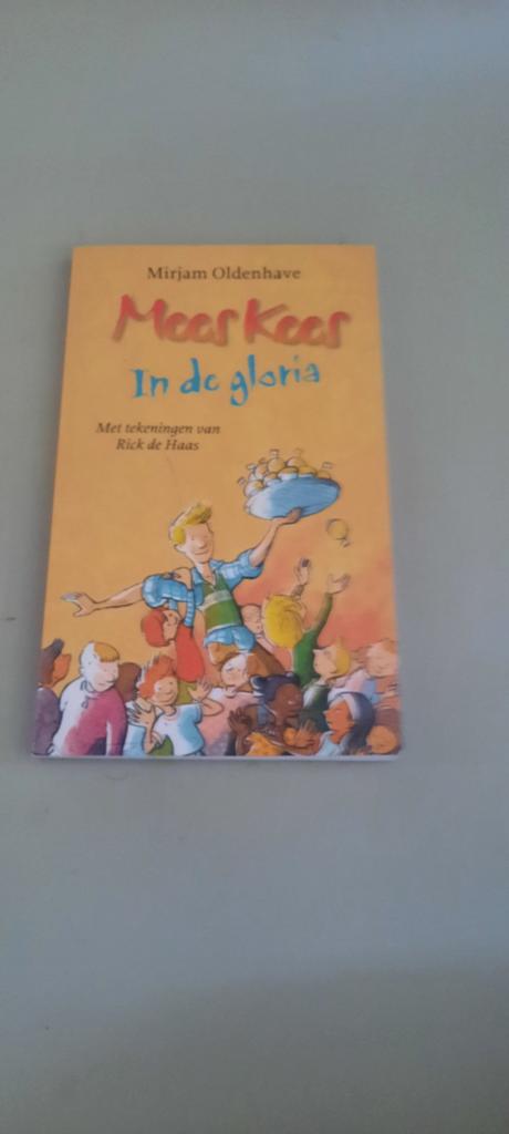 Boek mees Kees in de gloria, Fictie algemeen, Ophalen of Verzenden, Zo goed als nieuw, Mirjam Oldenhave
