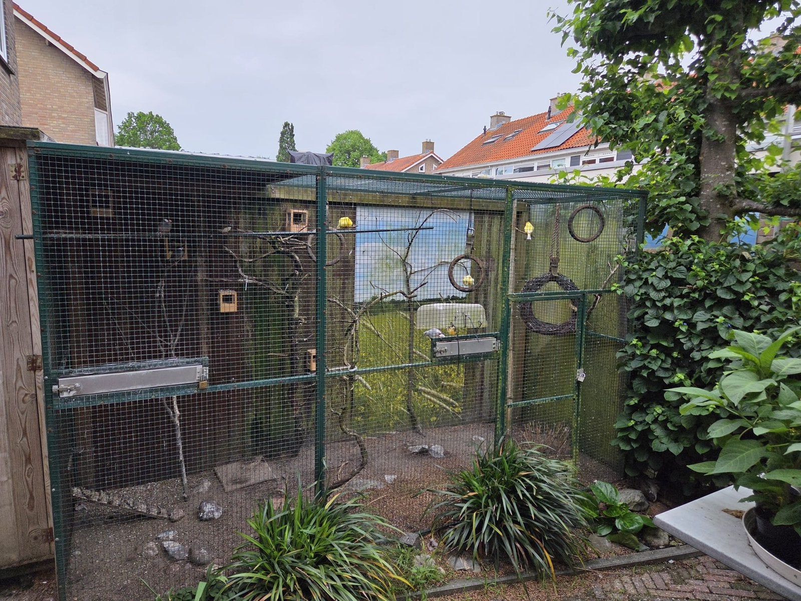 Grote aluminium volière (groen), Dieren en Toebehoren, Vogels | Hokken en Kooien, Ophalen, Aluminium, Volière