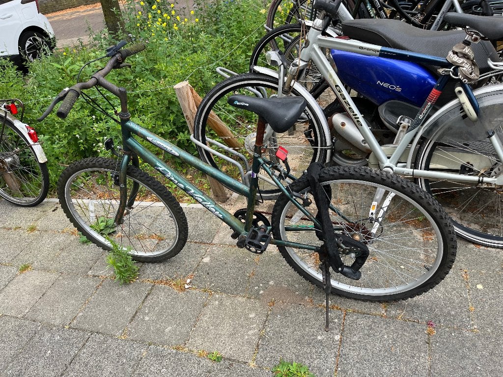 Damesmountainbike fiets opknapper, Fietsen en Brommers, Fietsen | Mountainbikes en ATB, Gebruikt, Dames, Ophalen, Overige merken