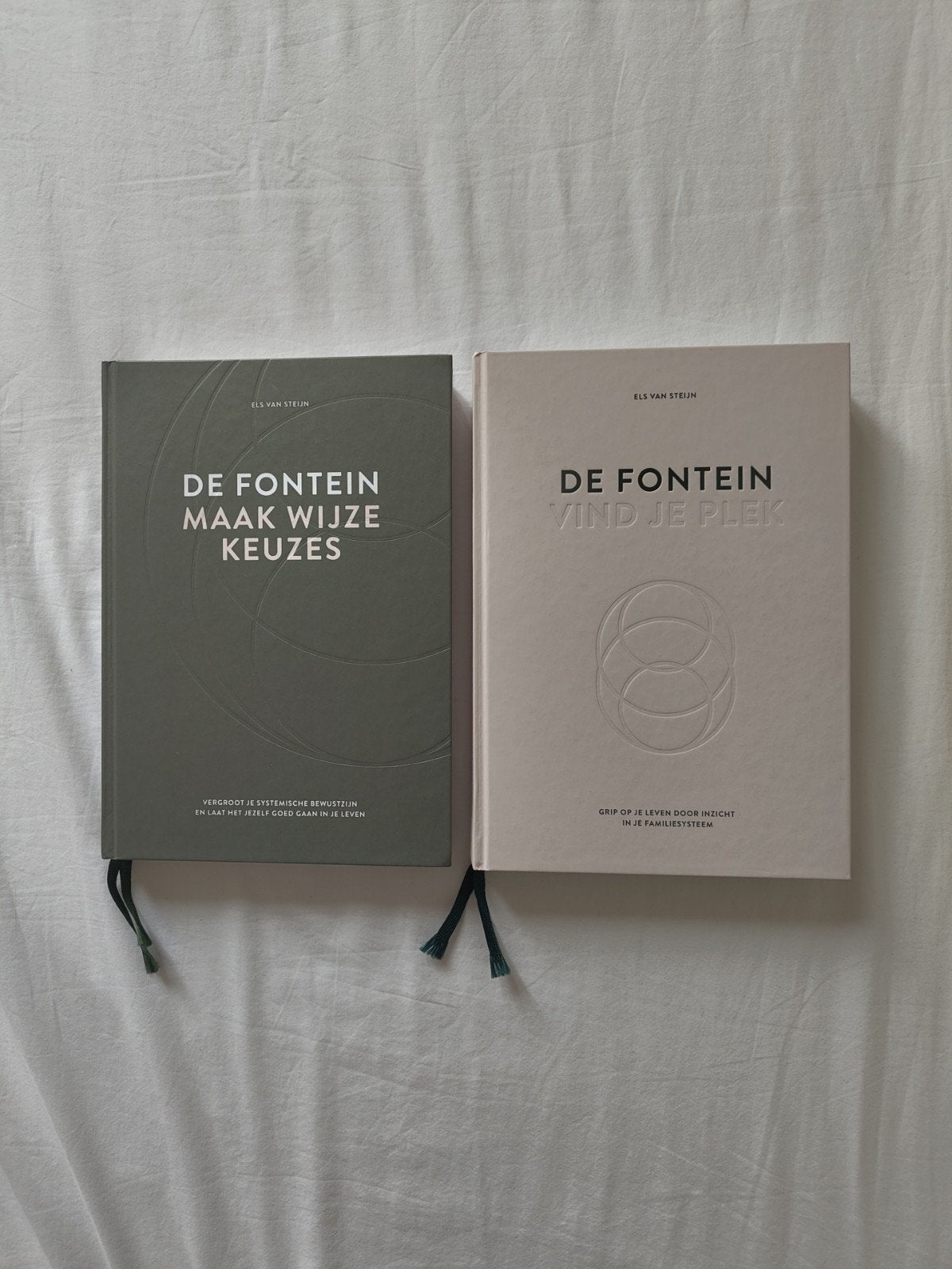 De Fontein // Els van Steijn, Boeken, Literatuur, Nieuw, Nederland, Ophalen of Verzenden