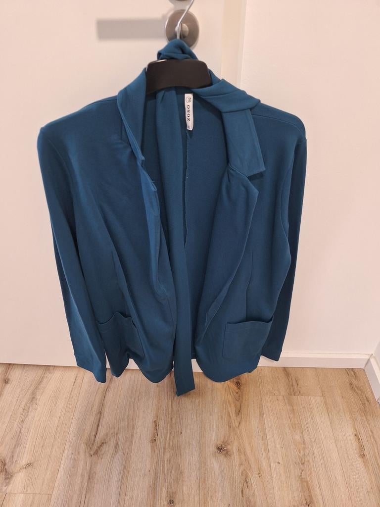 Vest, Ophalen of Verzenden, Zo goed als nieuw, Maat 46/48 (XL) of groter, Blauw
