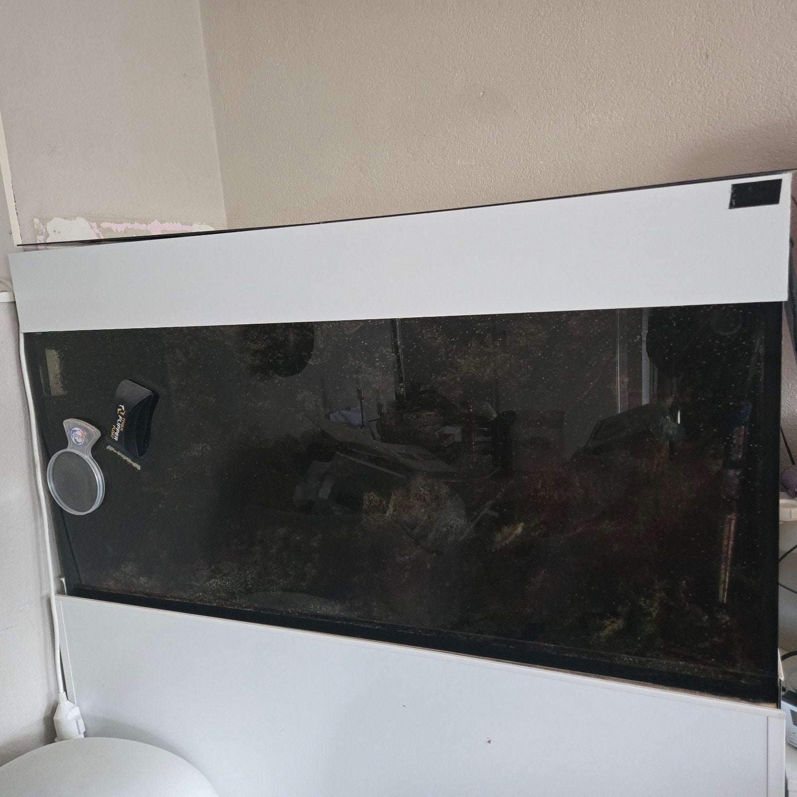 Compleet zeeaquarium met topapparatuur – zeer compleet syste, Ophalen, Gevuld zeewateraquarium