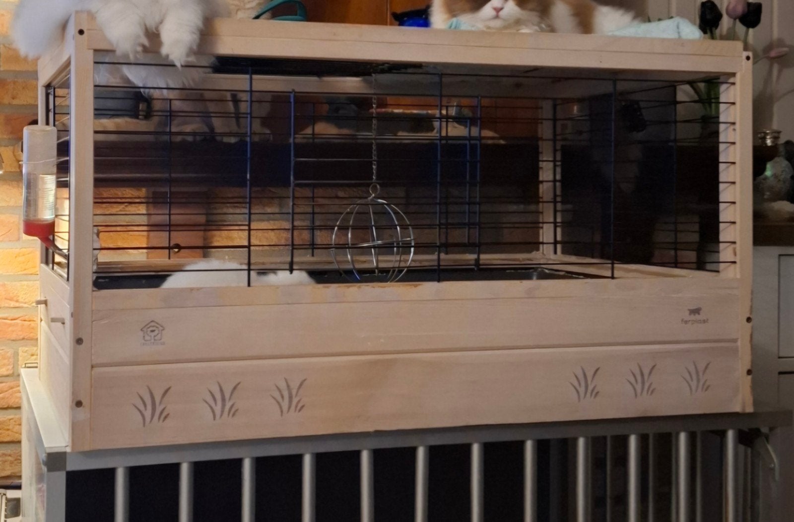 ferplast arena, Kooi, 110 cm of meer, Cavia, Zo goed als nieuw
