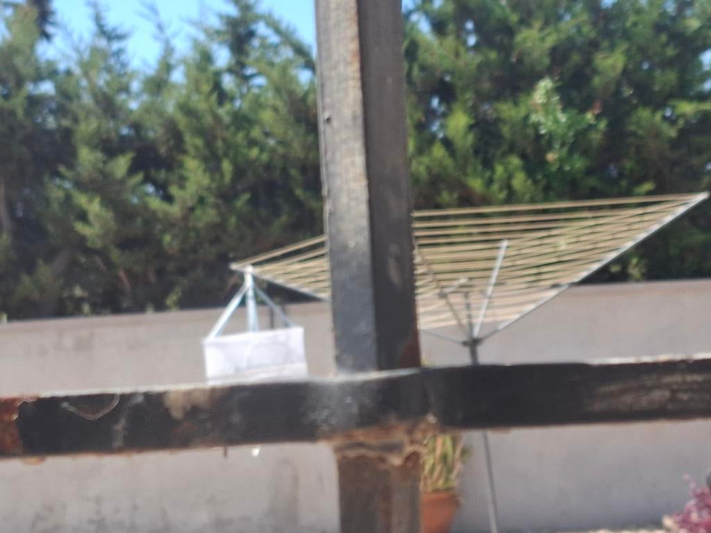 Muurschilderin in de tuin, Hobby en Vrije tijd, Ophalen of Verzenden