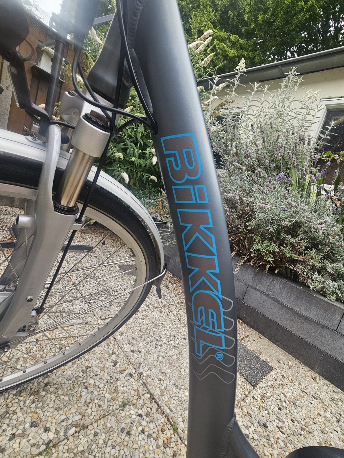 Bikkel E-bike - Comfortabel en Betrouwbaar, Overige merken, Gebruikt, Ophalen of Verzenden, 51 tot 55 cm