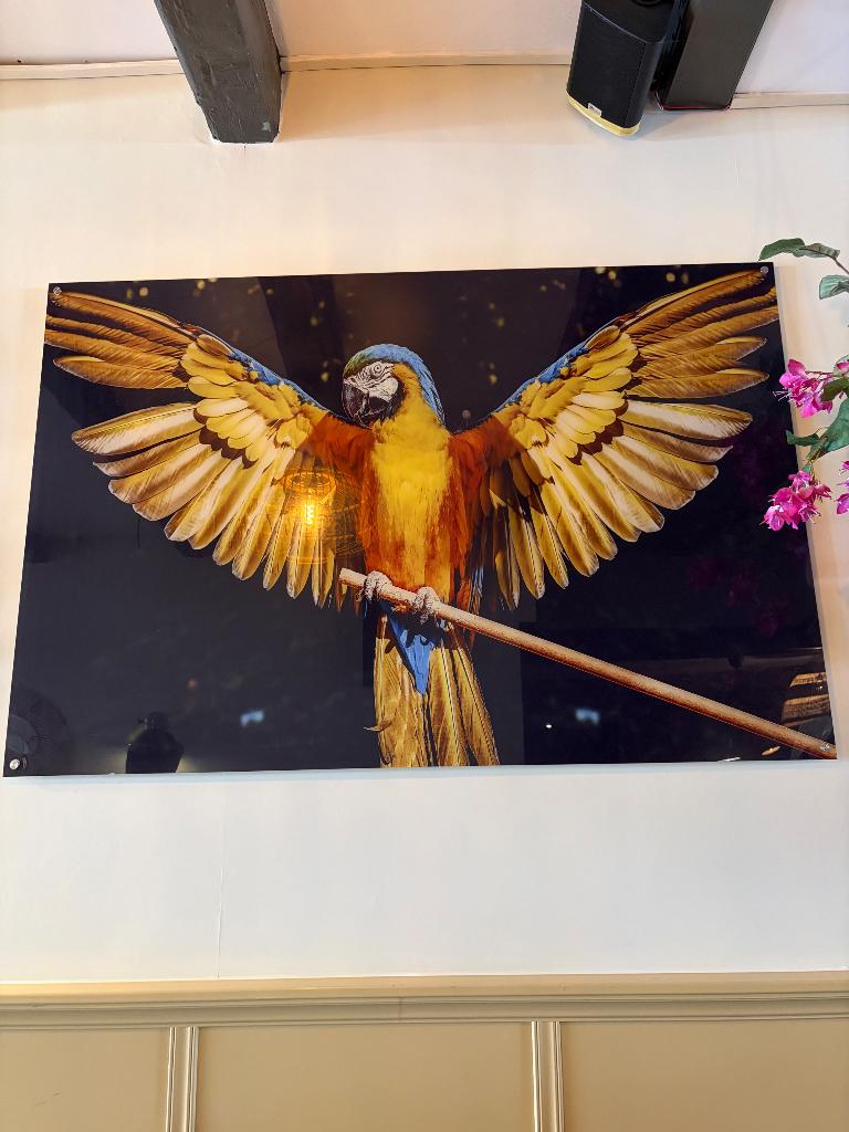 Papegaaien schilderij, Ophalen