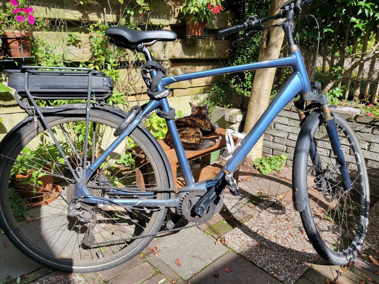 e-bike giant entour, Ophalen, Gebruikt, Giant, 61 tot 65 cm