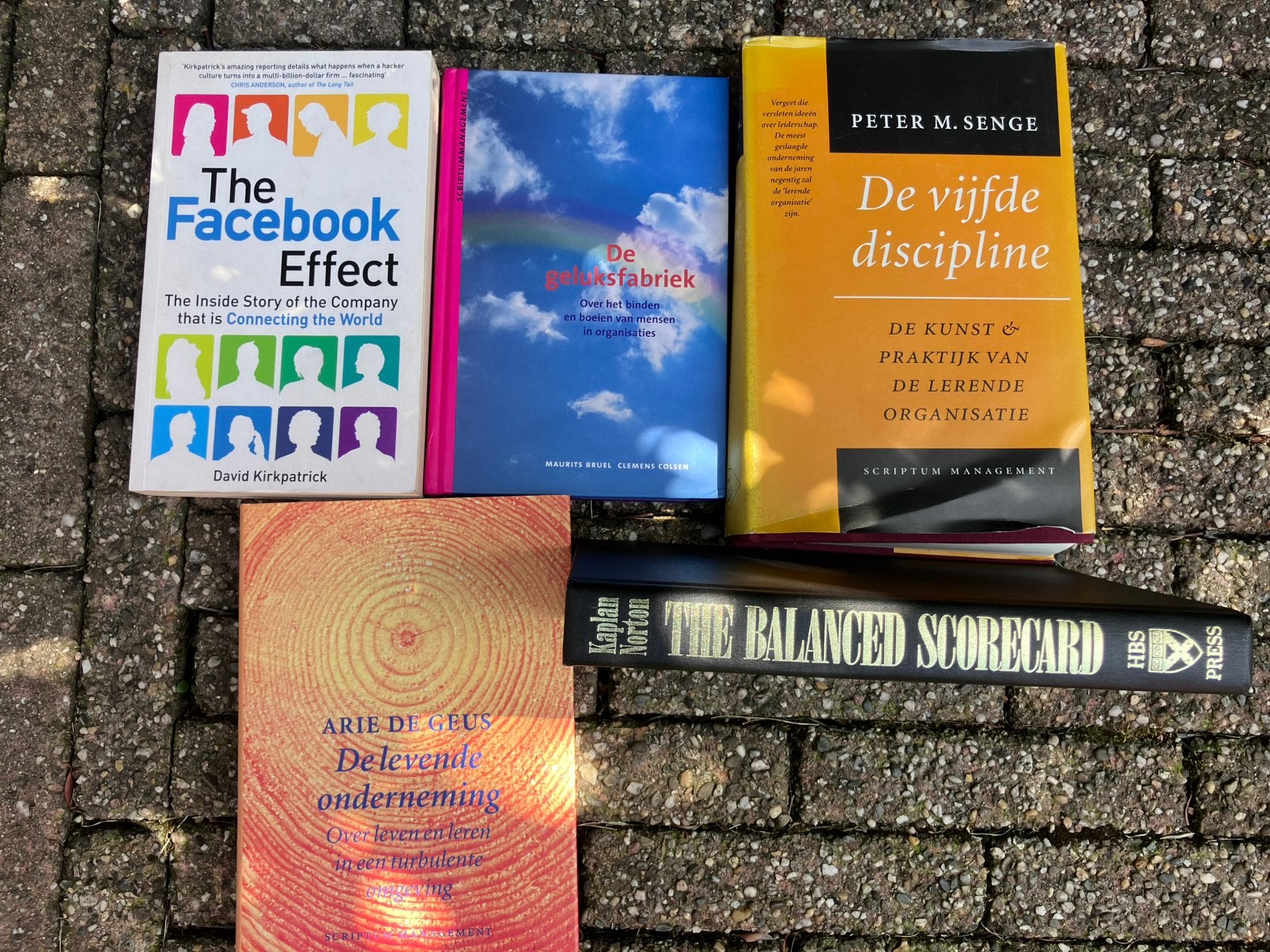 Boeken bedrijfsleven, Boeken, Informatica en Computer, Ophalen of Verzenden, Zo goed als nieuw, Overige onderwerpen