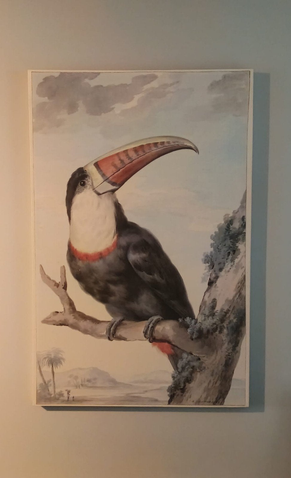 schilderij canvas Toekan op tak, Ophalen, 115 cm, Gebruikt, Overige typen