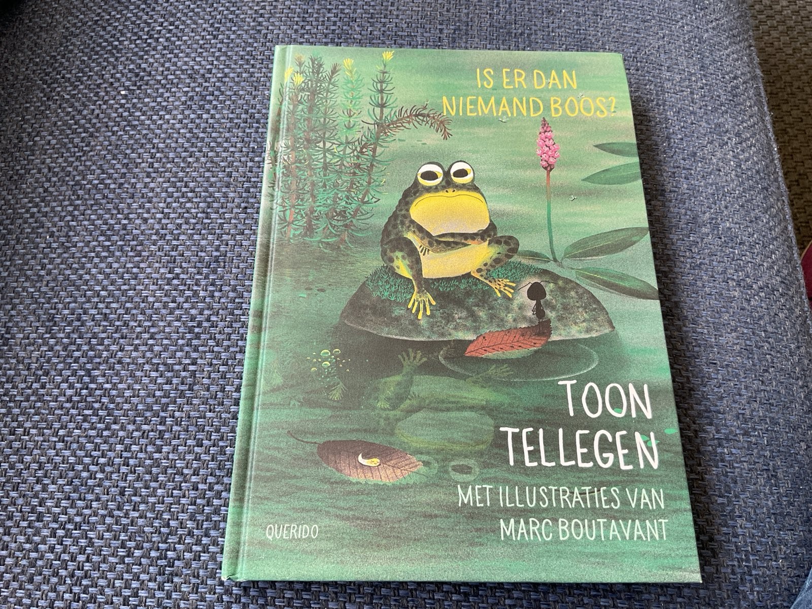 Is er dan niemand boos? - Toon Tellegen (Kinderboek), Fictie algemeen, Jongen of Meisje, Ophalen of Verzenden, Zo goed als nieuw