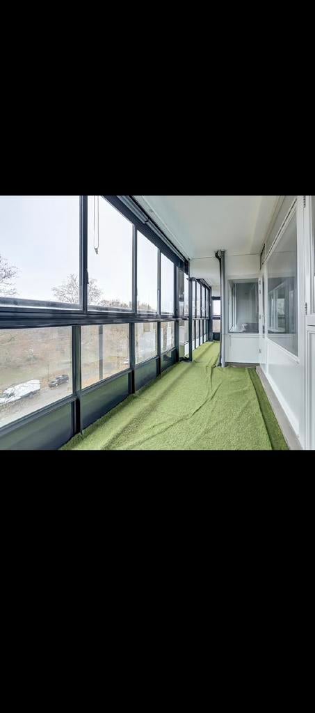 Kunstgras / Groene tapijtmat 17 m², Dieren en Toebehoren