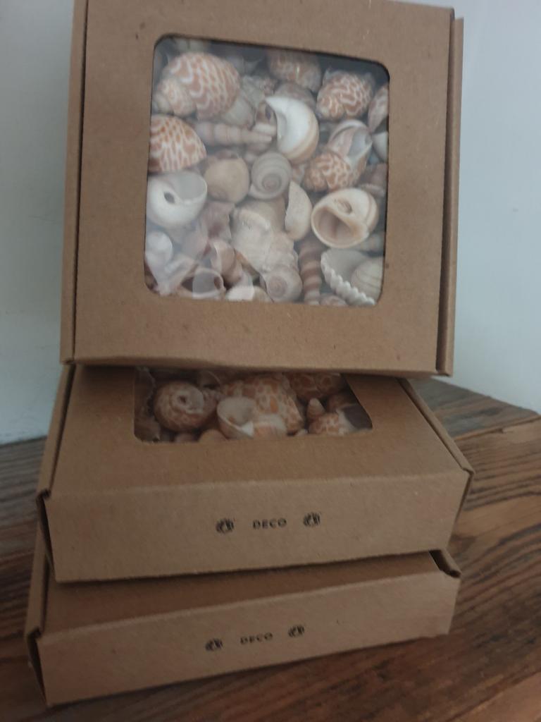 Doosje schelpen - mixed shells - naturel mix - krans maken, Ophalen of Verzenden, Nieuw