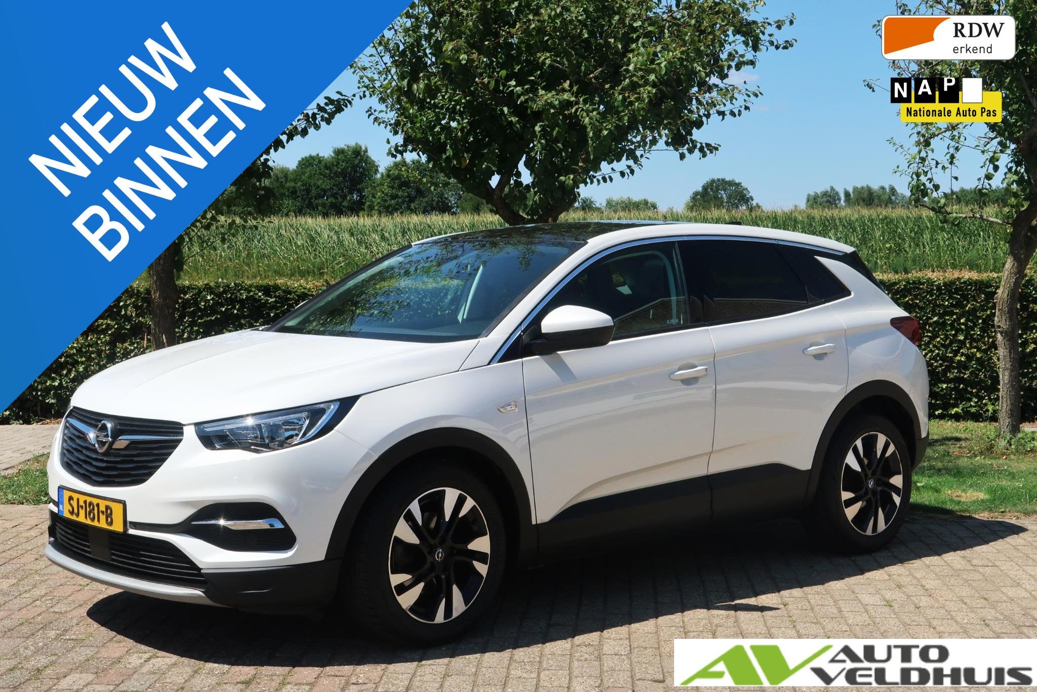 Opel Grandland X 1.2 Turbo Business Executive, Auto's, Opel, Bedrijf, Te koop, Grandland X, ABS, Airbags, Airconditioning, Alarm