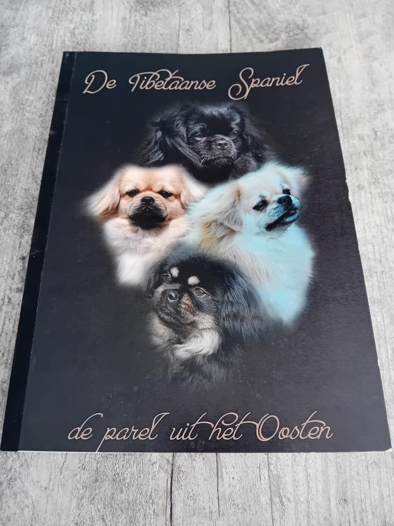 De Tibetaanse Spaniel: De Parel uit het Oosten, Ophalen of Verzenden, Gelezen, Honden, Ineke Jaarsma-Pinster & Aad Jaarsma
