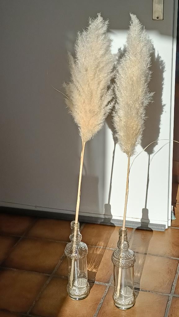 2x Pampas pluim in mooie fles., Ophalen of Verzenden, Zo goed als nieuw