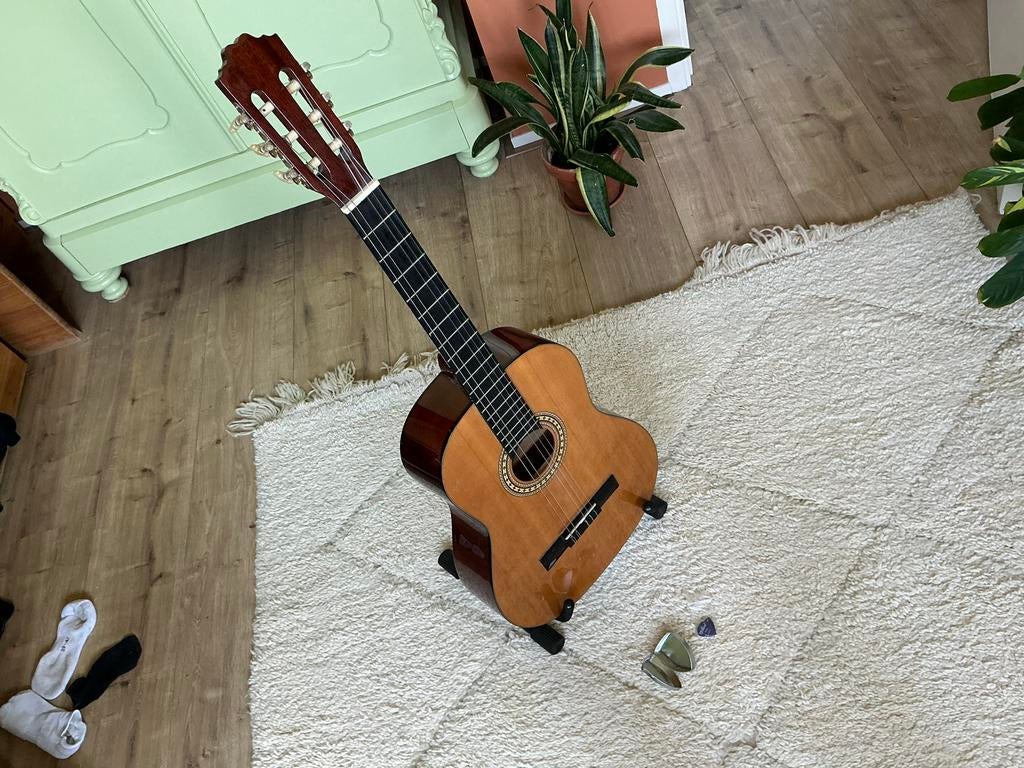 Motion model Tc-901 gitaar incl. INOX standaard en plectrum, Ophalen of Verzenden, Gebruikt, Klassieke of Spaanse gitaar