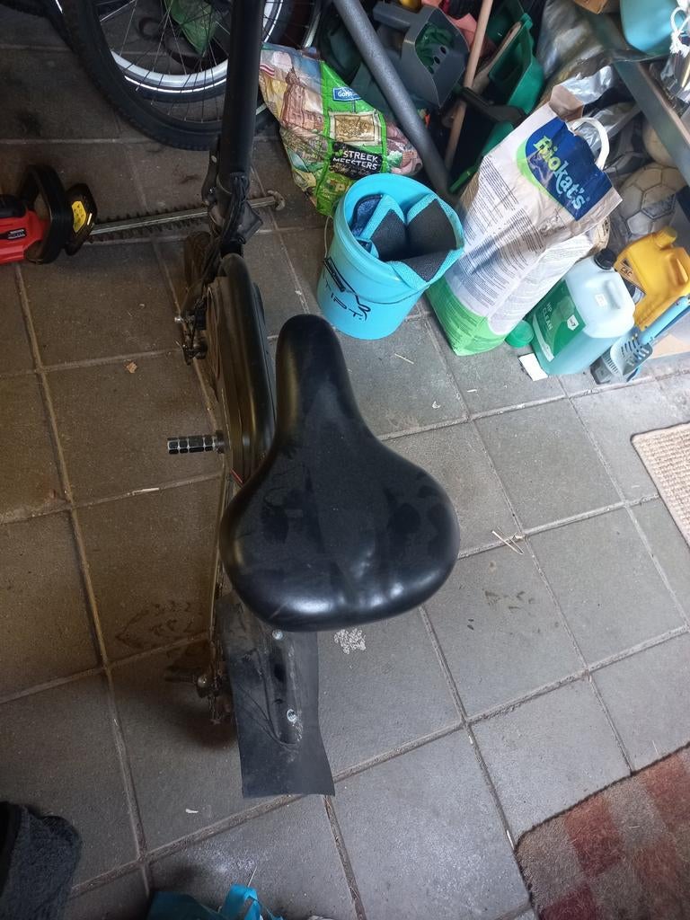 Alucard electrische step, Fietsen en Brommers, Ophalen, 14 inch of minder