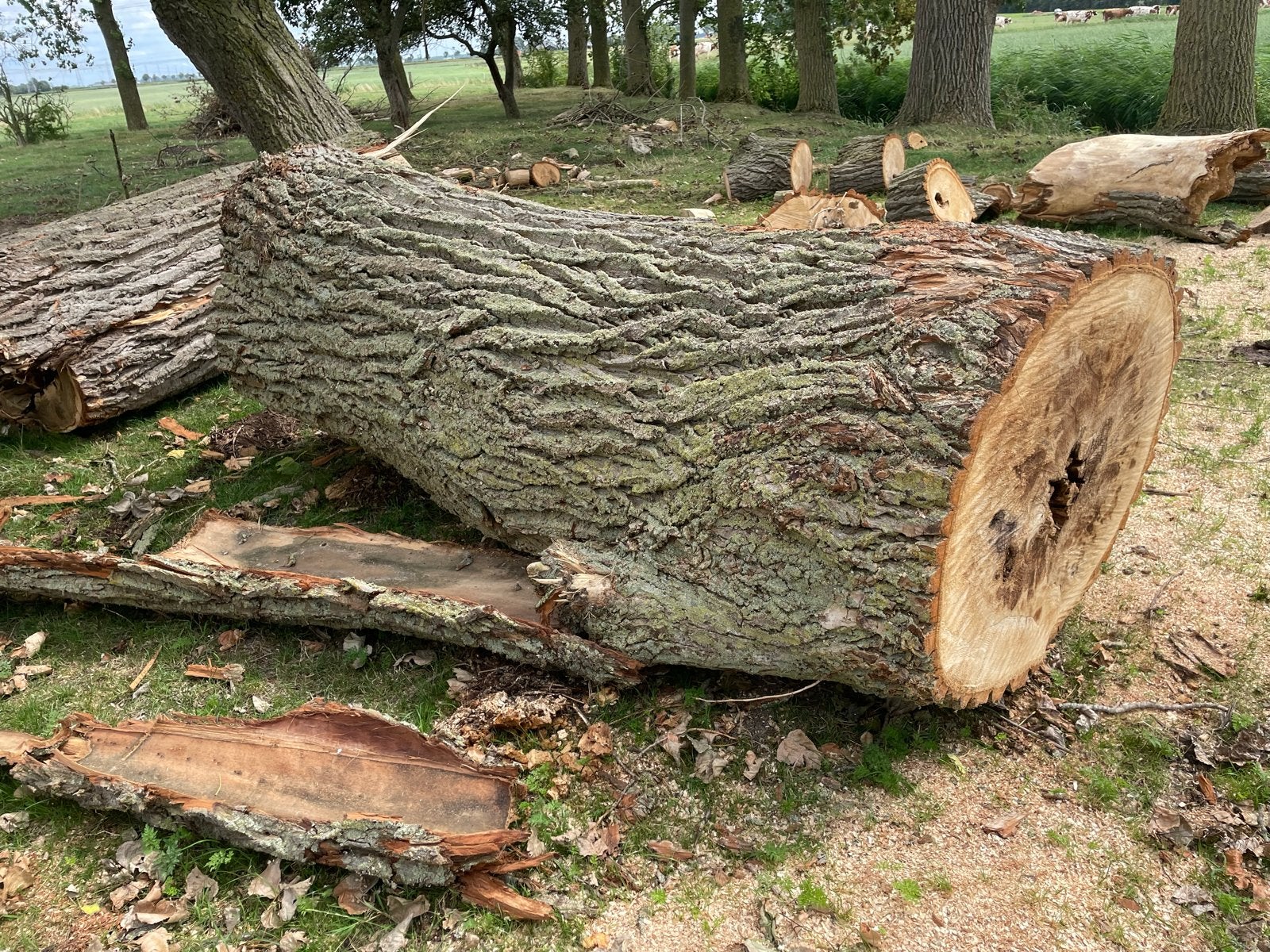 Brandhout, Minder dan 3 m³, Ophalen