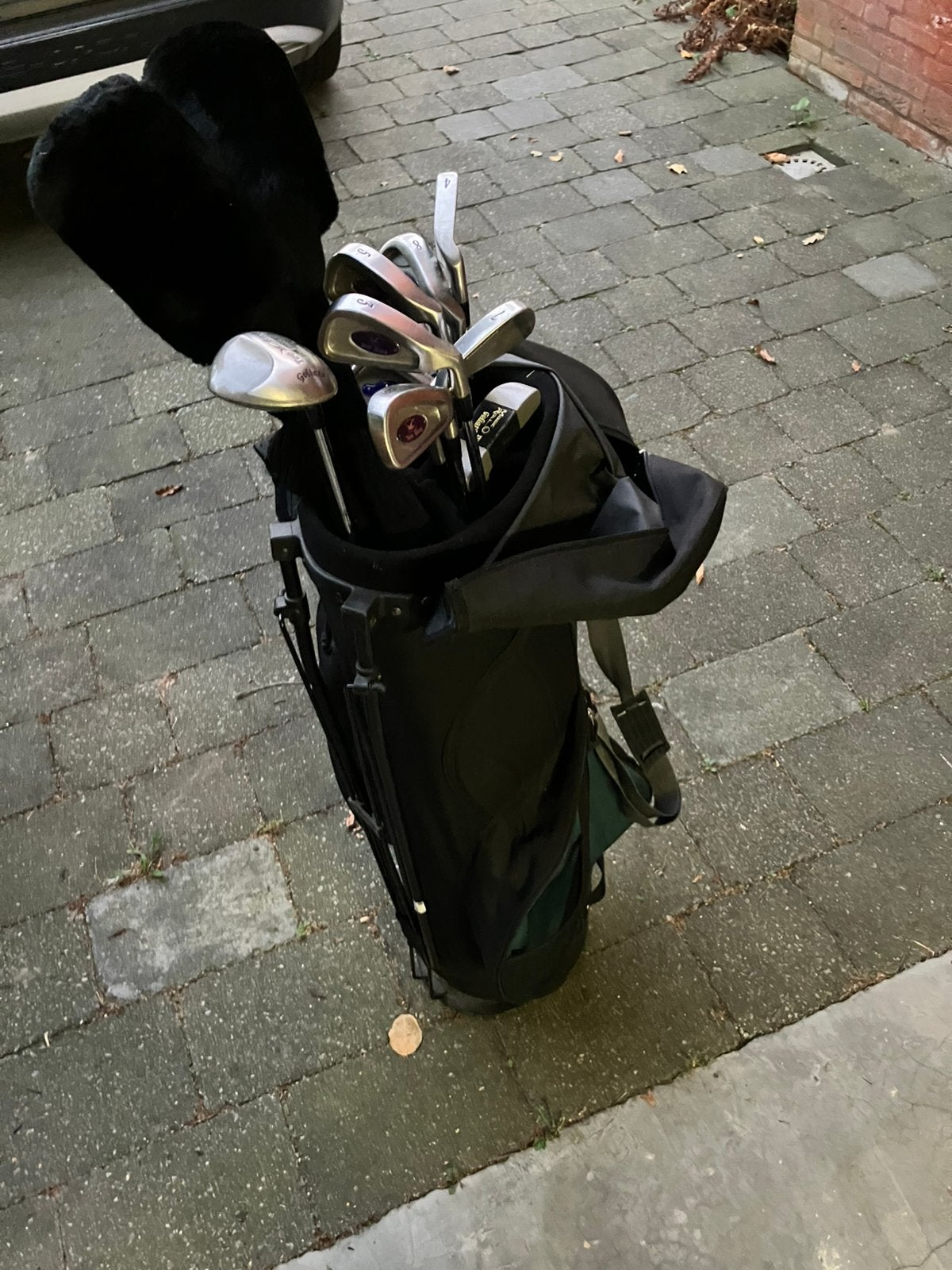 Golfset Goliath Tee Bird