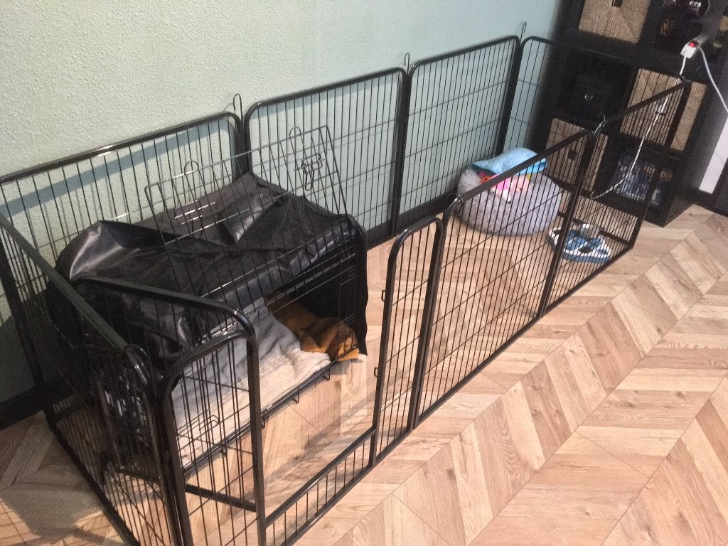 IvoQ Puppyren – Hondenren – 8 Panelen – 80 cm hoog, Dieren en Toebehoren, Ophalen, Zo goed als nieuw