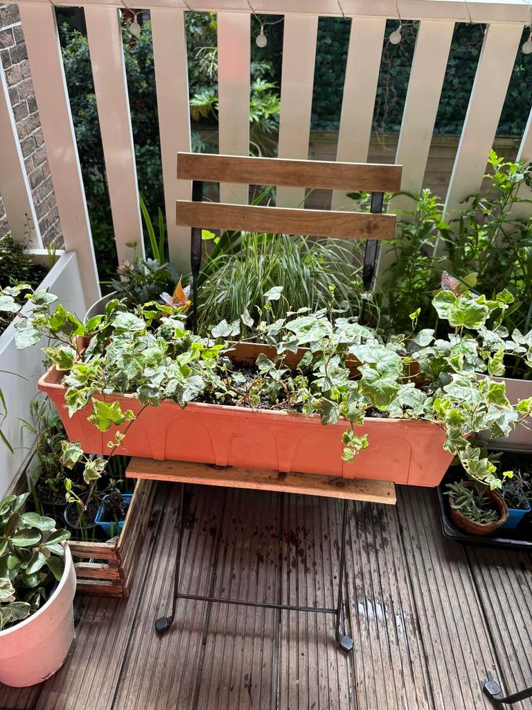 bloembak met klimop voor balkon of tuin, Ophalen, Kunststof, Gebruikt, Minder dan 30 cm
