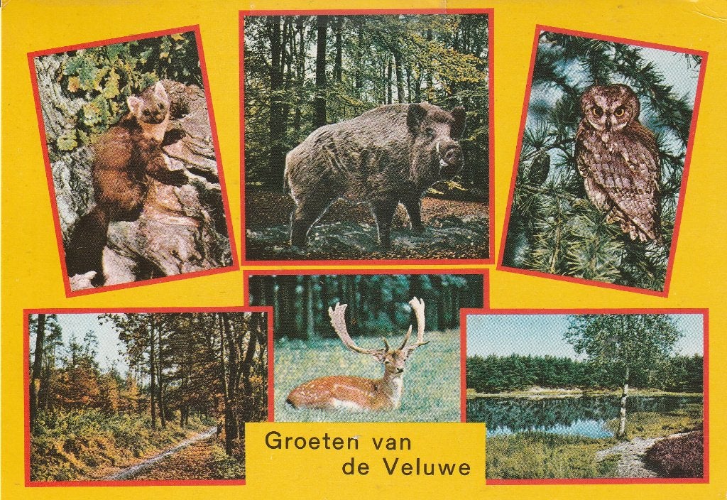 Groeten van de Veluwe 1991, Ophalen of Verzenden, 1980 tot heden, Gelopen, Gelderland