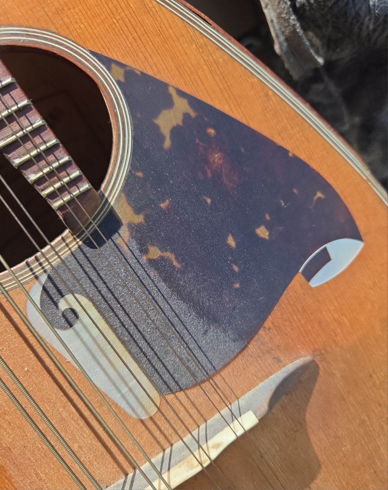 Antieke mandoline Pasquale Febraro Napoli, Muziek en Instrumenten, Snaarinstrumenten | Mandolines, Ophalen, Gebruikt, X, X