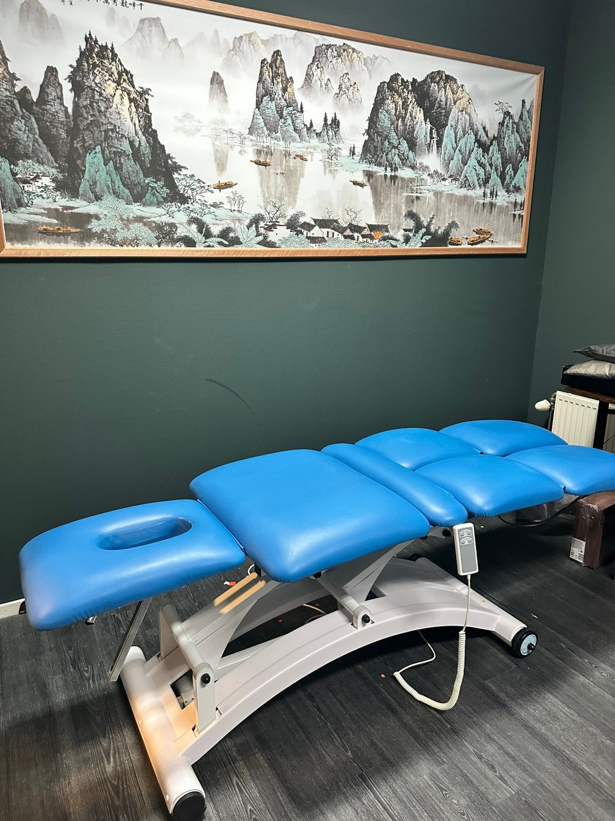 quirumed 8-delige elektrische behandel-/massagebank, Sport en Fitness, Massageproducten, Ophalen of Verzenden, Massagetafel