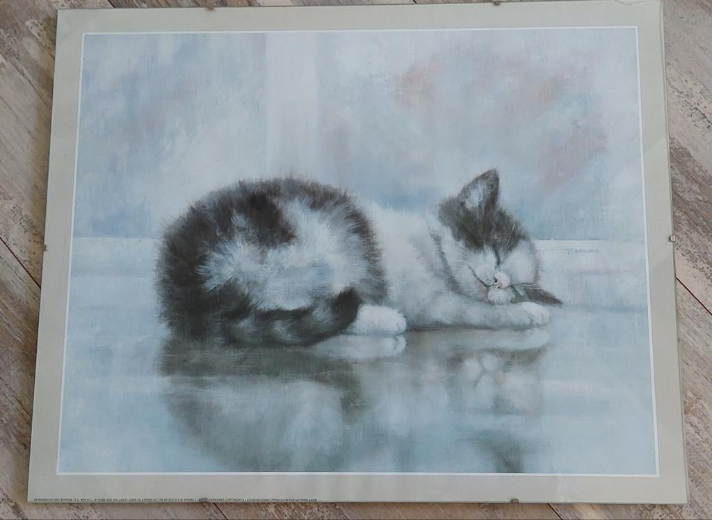 Ingelijste poster met slapende kat - 40x50 cm, Ophalen, Minder dan 50 cm, Gebruikt, Foto of Poster