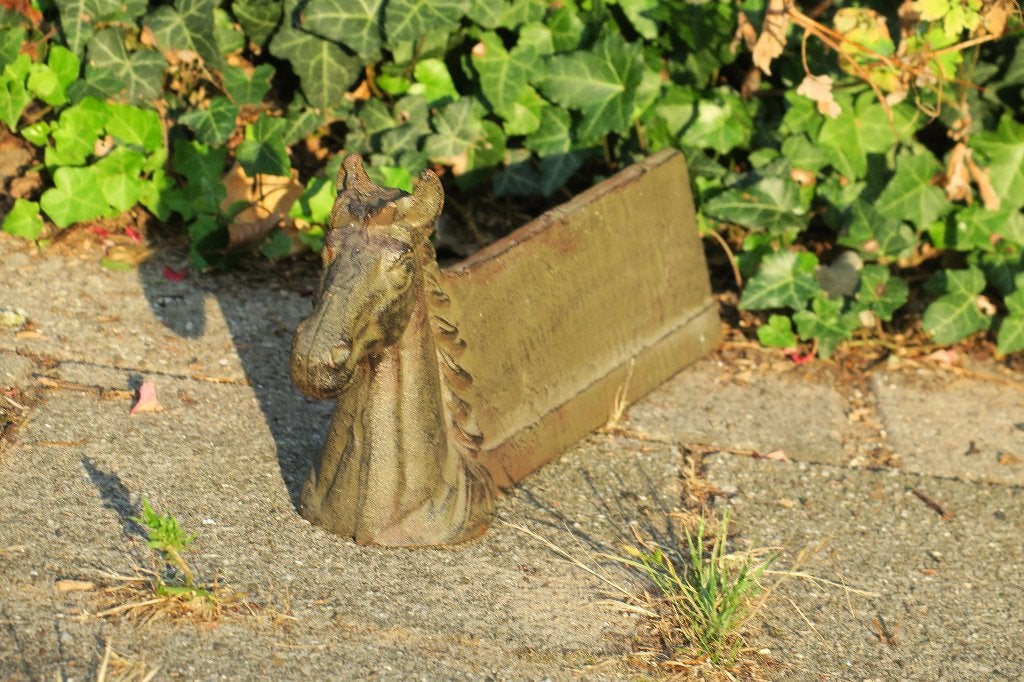 oude laarzen schraper paard, Verzenden, Gebruikt, Kinderen, Overige typen