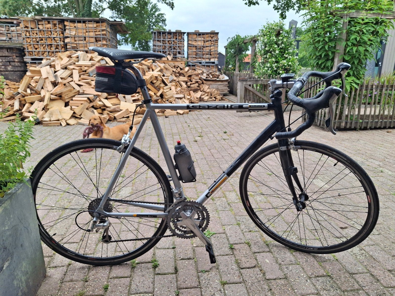 Gazelle racefiets, Ophalen, Gebruikt, 57 tot 61 cm, Meer dan 20 versnellingen