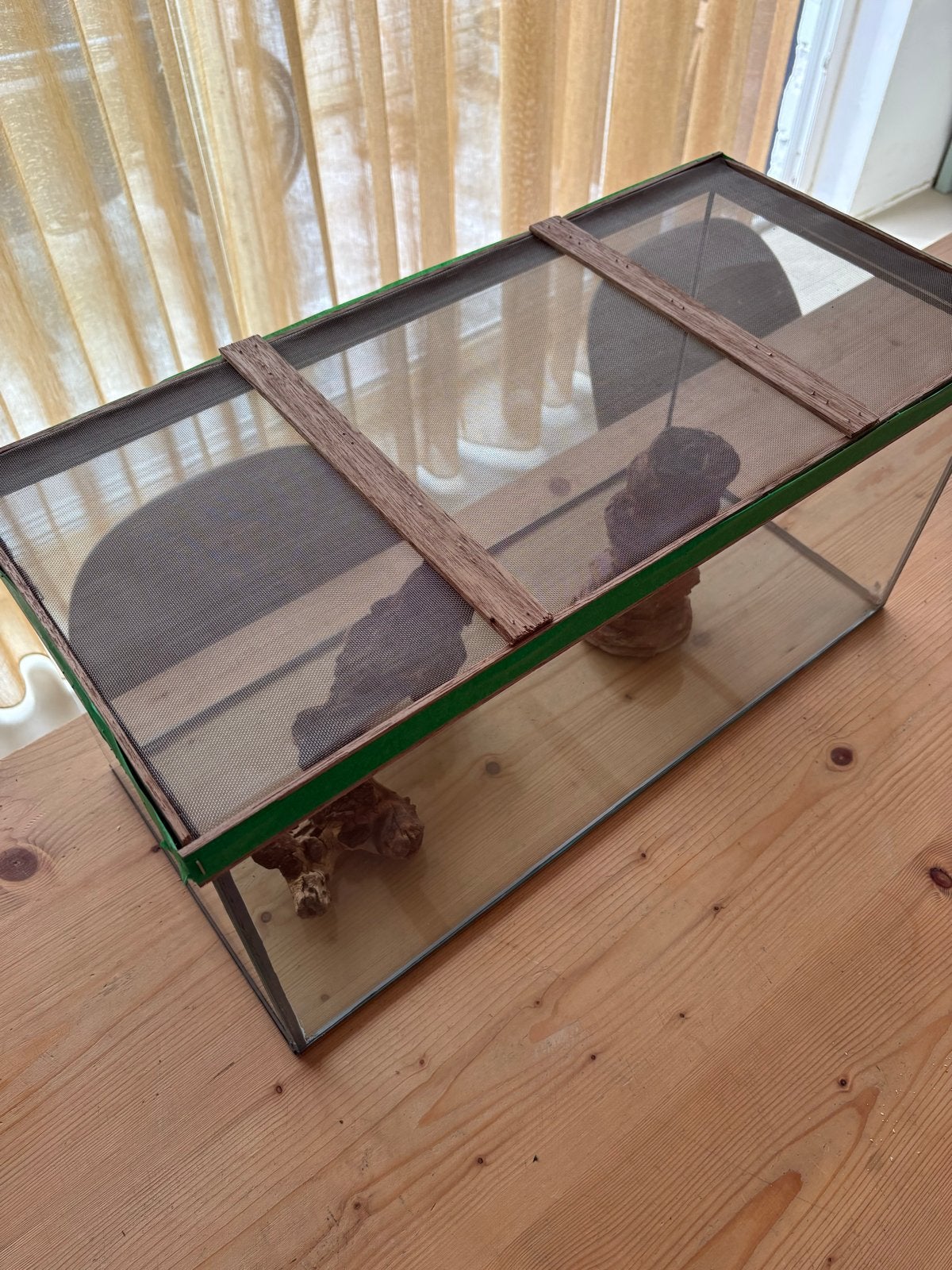 Terrarium/ Aquarium bak, Ophalen, Gebruikt, Terrarium of Paludarium