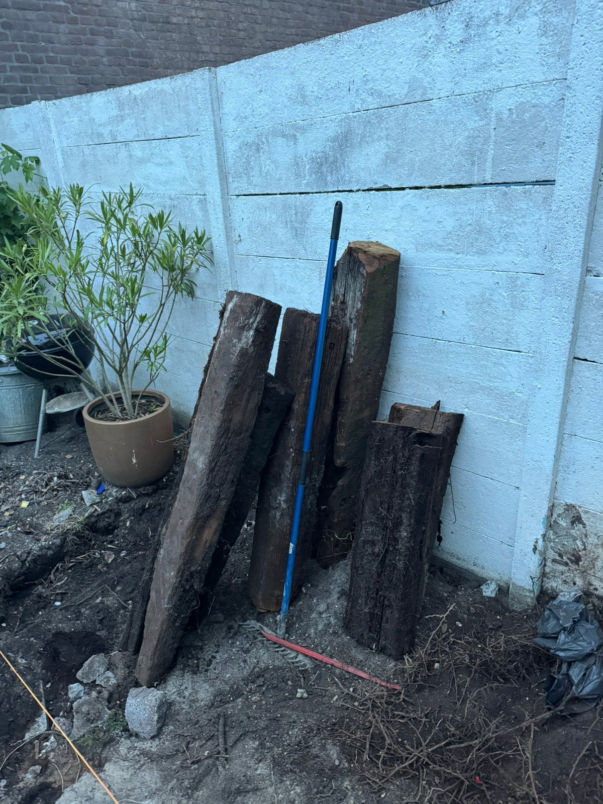 Bielzen, Ophalen, Zo goed als nieuw, 250 cm of meer, Balken