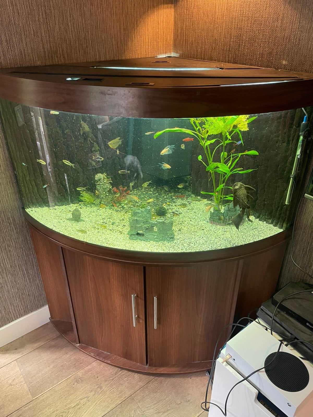Juwel trigon 190 met led en ongv 30+ vissen, Dieren en Toebehoren, Vissen | Aquaria en Toebehoren, Ophalen, Gebruikt, Gevuld zoetwateraquarium