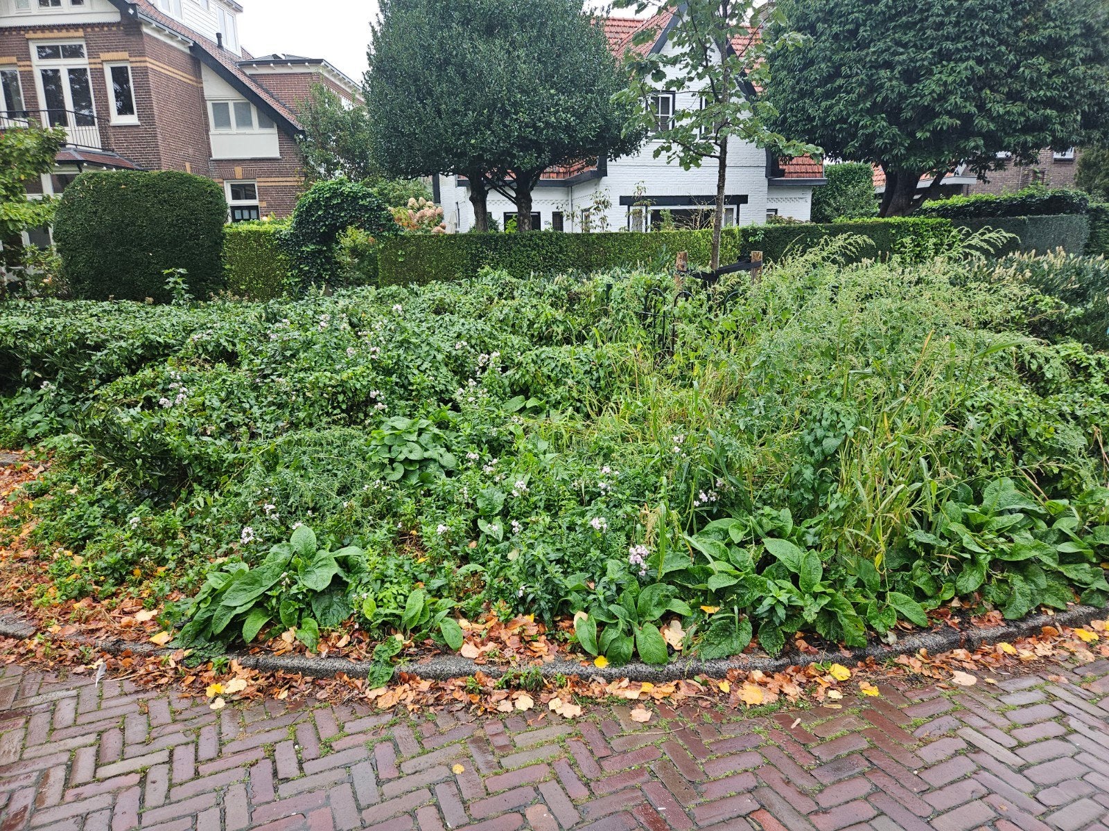 tuinman aangeboden, Ophalen of Verzenden, Gebruikt